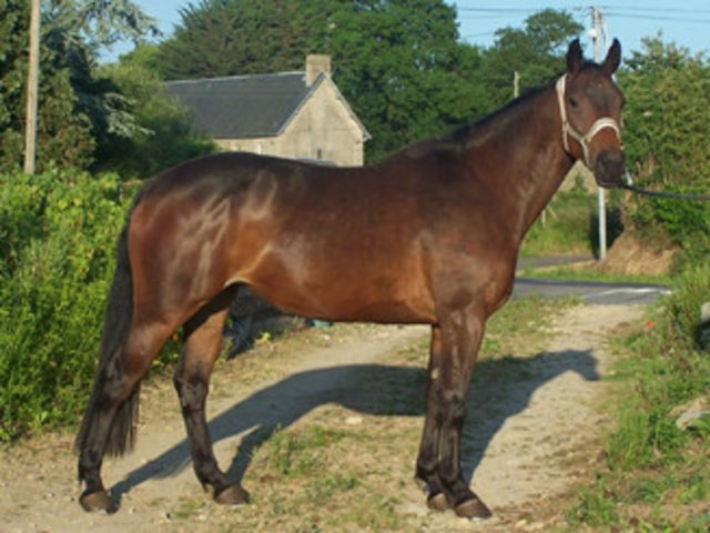 Naïra du Heup (SF)