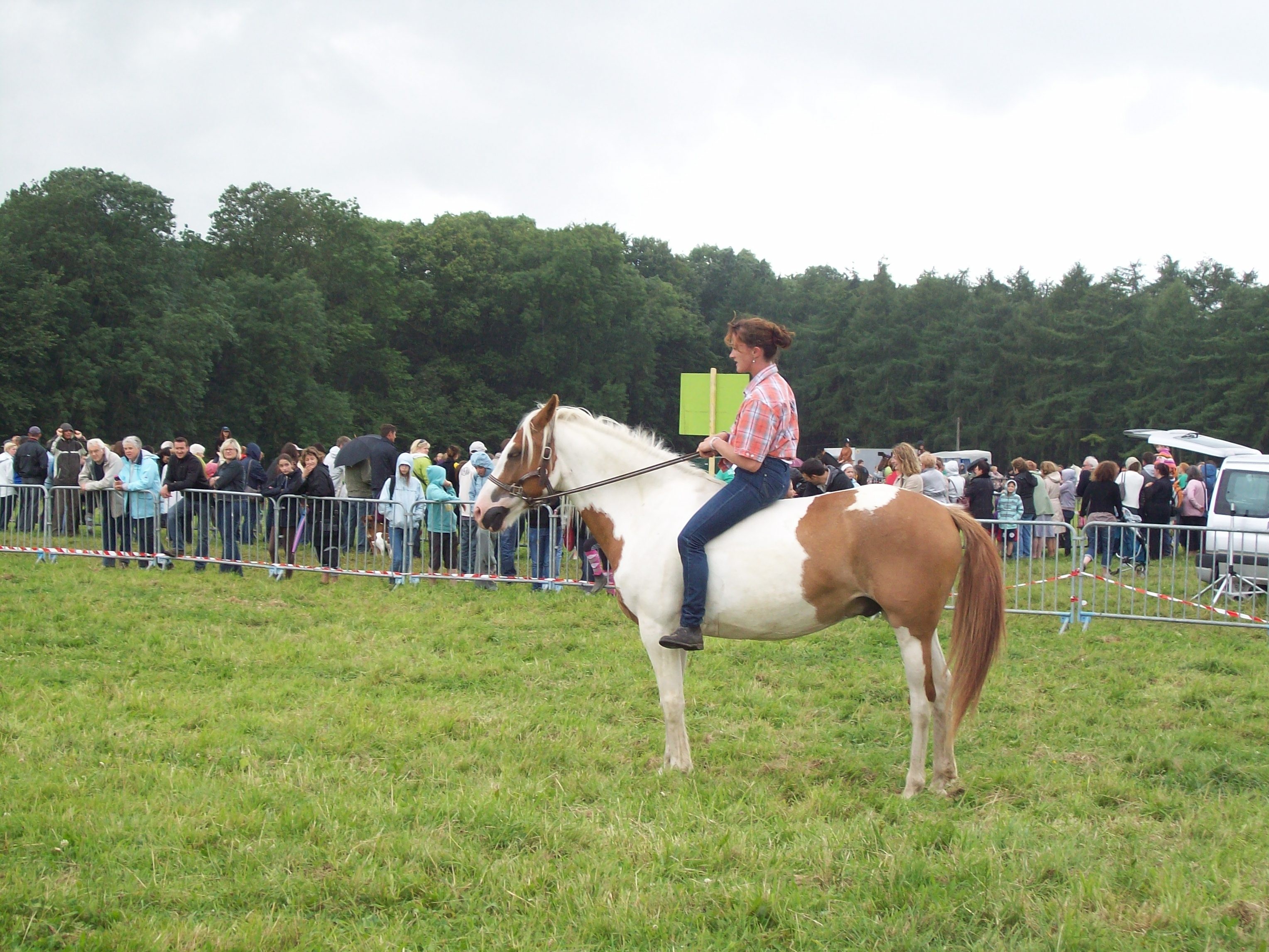 Juillet 2012
