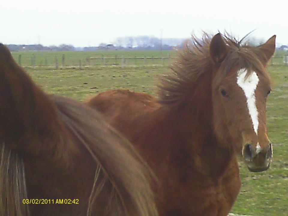 Country des Chtits (OC) - Avril 2013