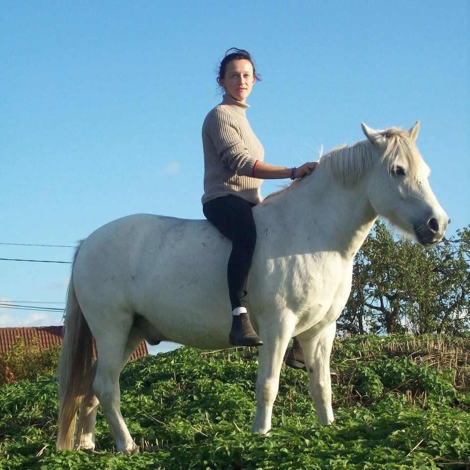 Octobre 2013