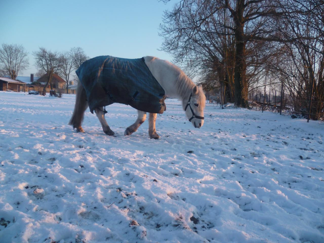 If You Want d'Acaire (ONCP) - Janvier 2013