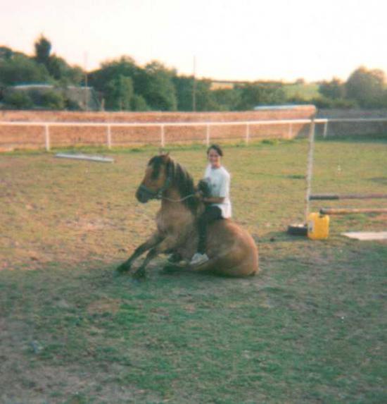 Gribouille du Futoy (ONCP) - Eté 1998