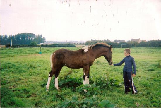 Rodéo (ONCS) - Eté 2005