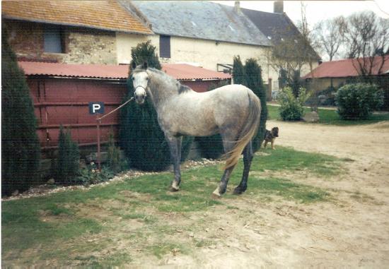 Etoile du Futoy (ONCP) - Hiver 1999