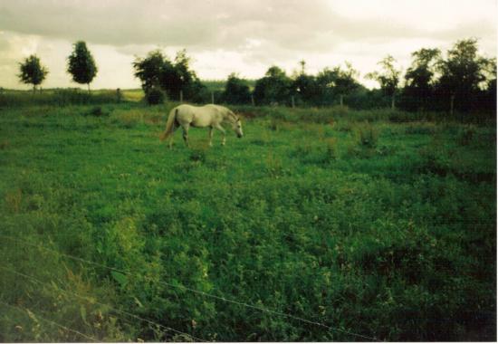 Etoile du Futoy (ONCP) - Eté 2004