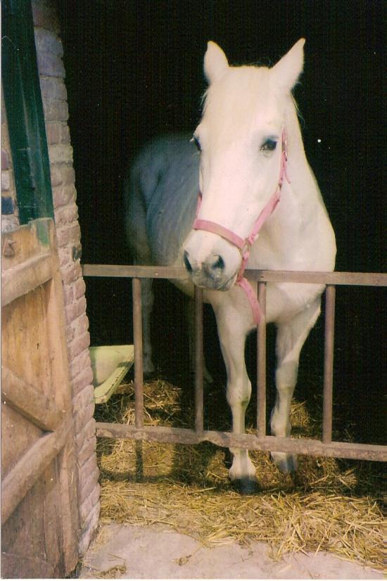 Pénélope (ONCP) - Hiver 2005