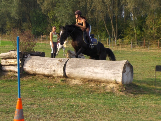 Journée du cheval avec Jizella de Montfort (TF)