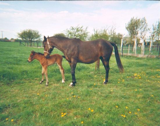 Cette Epine & Myrtille (ONCS) - Eté 2000