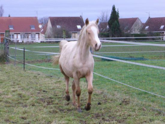 Hiver 2006