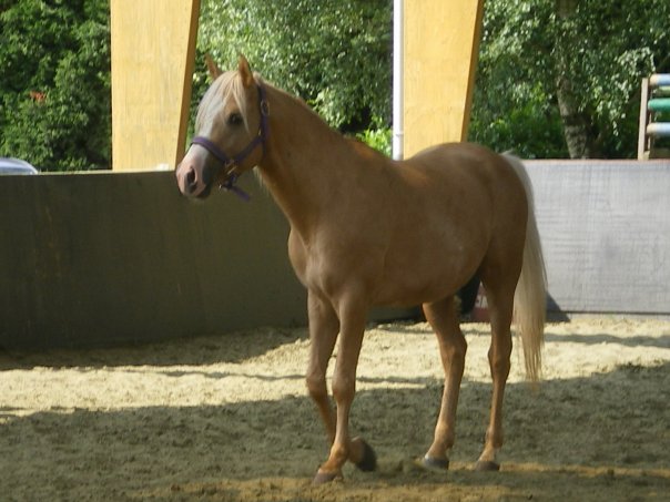 Eté 2009