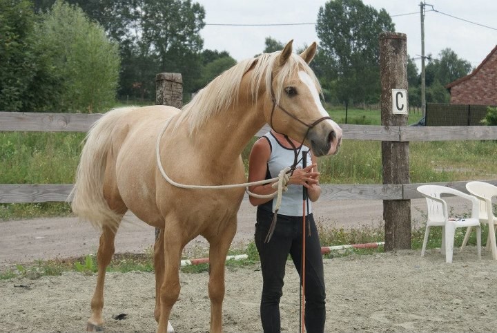 Juillet 2012