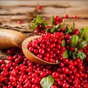 Cranberry
