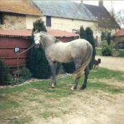 Etoile du Futoy (ONCP)