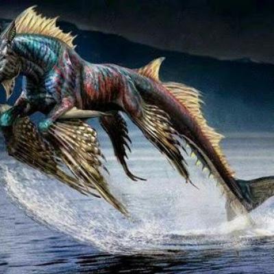 Hippocampe