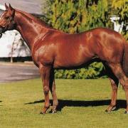 Indian Ridge (PS)