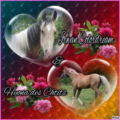 Irwan Colordream & Hyona des Chtits