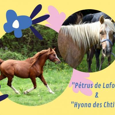 Pétrus de Lafon & Hyona des Chtits