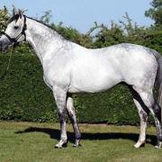 Martaline (PS)