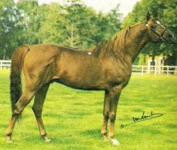 Numizmat (Arabe - DRE***)