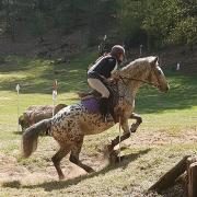 Pin Up du Val (ONCP)