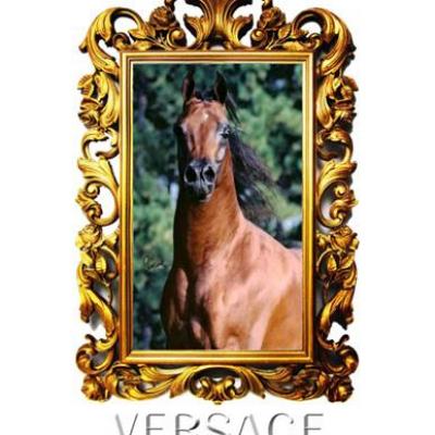 Versace (Arabe)